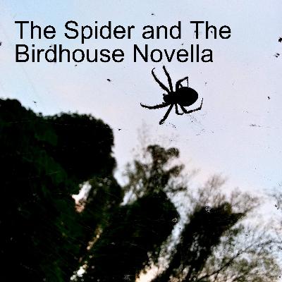 The Spider and The Birdhouse Novella Preview The Spider and The Birdhouse Novella Preview