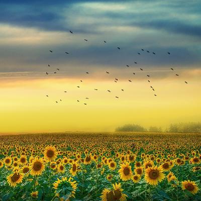 vol.18 我,40+,选择在职业顶峰裸辞转型 vol.18 我,40+,选择在职业顶峰裸辞转型