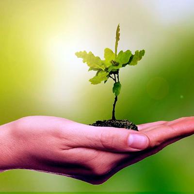 Desarrollo sostenible: El cuidado del medio ambiente.