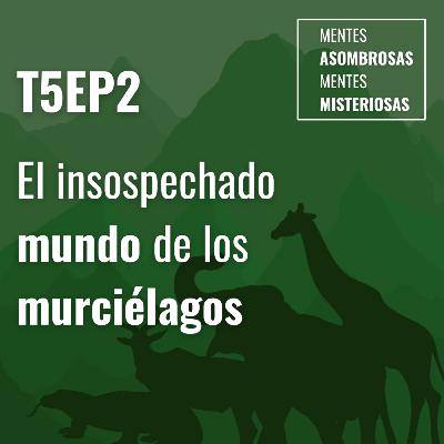 T5EP2 El insospechado mundo de los murciélagos