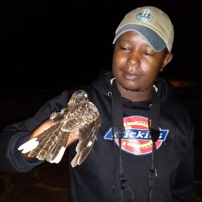 The Birdman's Beat: Bird Conservation with John Wanyoike