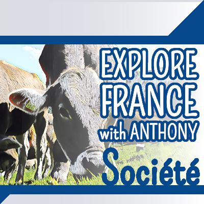 Le Salon de l'agriculture