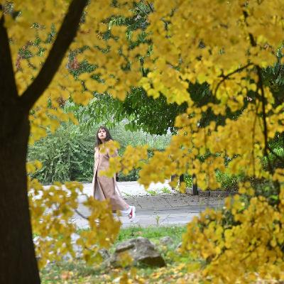 Там, где история встречается с морским отдыхом. Что посмотреть в Приморско-Ахтарске Там, где история встречается с морским отдыхом. Что посмотреть в Приморско-Ахтарске