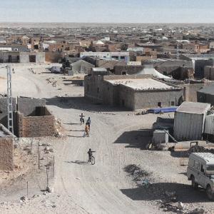 Seminar 8: Herz, A Capital in Exile Seminar 8: Herz, A Capital in Exile