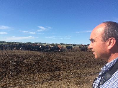 Compassion's 2017 The Good Farm Animal Welfare Awards Compassion's 2017 The Good Farm Animal Welfare Awards