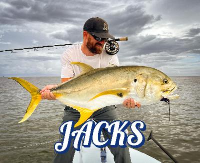 Jacks
