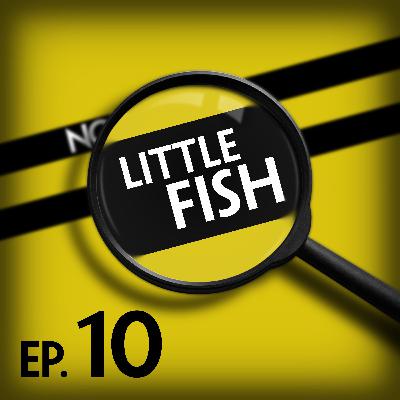 Little Fish: If You Believe What the Government Tells You