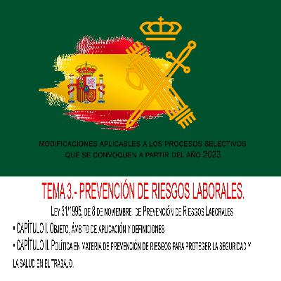 TEMA 3.- PREVENCIÓN DE RIESGOS LABORALES. Ley 31/1995, de 8 de noviembre, de Prevención de Riesgos Laborales.