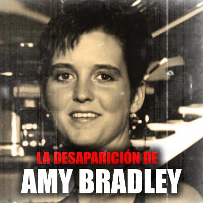 LA DESAPARICIÓN DE AMY BRADLEY   THE DISAPPEARANCE OF AMY BRADLEY