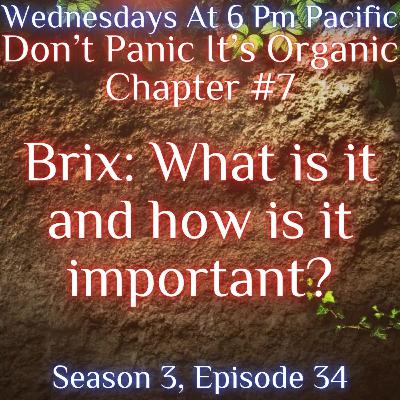 Brix: What is it and how is it important?