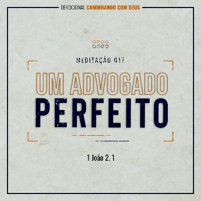 017 - Um advogado perfeito