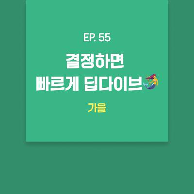 가을 - 결정하면 빠르게 딥다이브🧜‍♀️ [EP.55]