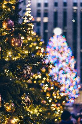 The Holiday Season