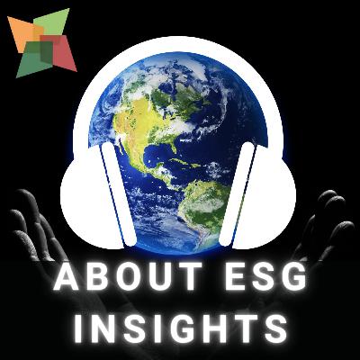 About our channel ESG Insights.