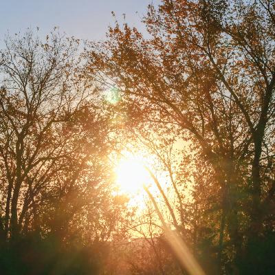 AT THE FEET OF JESUS