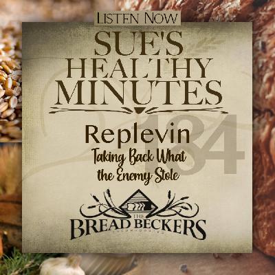 184: Replevin - Taking Back What the Enemy Stole