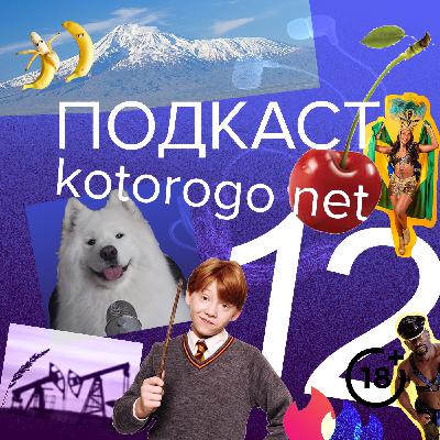 Выпуск, в котором рон не достал палочку [а пес и вишенка всех осудили]