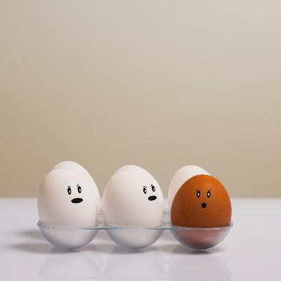 Conversations on Racism: From Personal Experiences to Collective Action