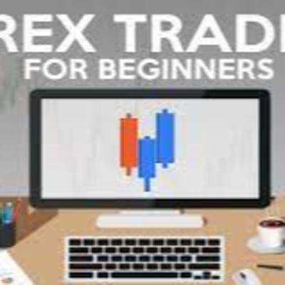 A Beginner's Guide to Forex Trading