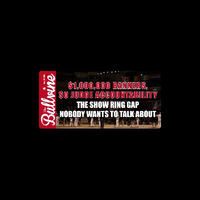 E519 $1,000,000 Banners, $0 Judge Accountability: The Show Ring Gap Nobody Wants to Talk About E519 $1,000,000 Banners, $0 Judge Accountability: The Show Ring Gap Nobody Wants to Talk About