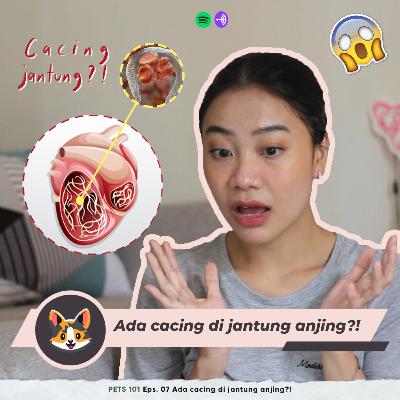 PETS 101 Eps. 07 Ada cacing di jantung anjing?!