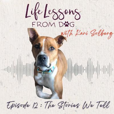 The Stories We Tell: How Narrative Shapes Behavior (Ours and Theirs)