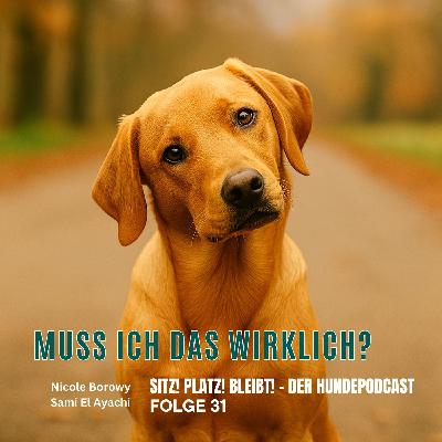 #31 Muss ich das wirklich? - Wenn junge Hunde anfangen Fragen zu stellen