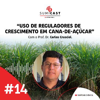 #14 - Uso de reguladores de crescimento em cana-de-açúcar #14 - Uso de reguladores de crescimento em cana-de-açúcar