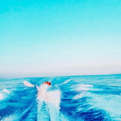 - 💐 NEW PHASE 💐 - [read desc]