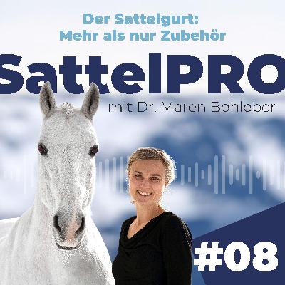 #08 Der Sattelgurt: Mehr als nur Zubehör #08 Der Sattelgurt: Mehr als nur Zubehör