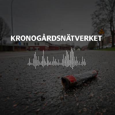 Kronogårdsnätverket