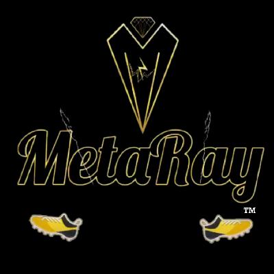 GP Exclusive: "Elite Movement Specialist" CEO of MetaRay Athletics Donnie Bills