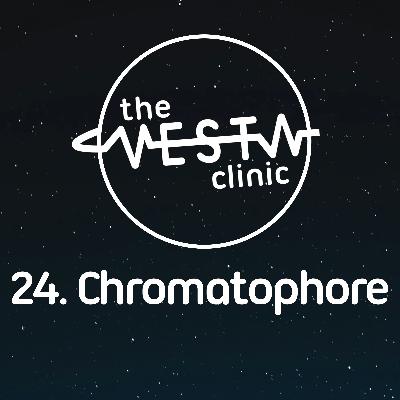 24. Chromatophore