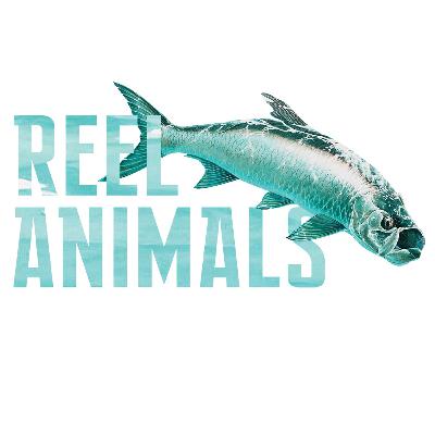 Reel Animals Sunday Fishing Show 2-1-26