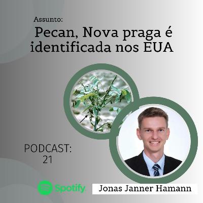21 - Pecan, Nova praga é identificada nos EUA