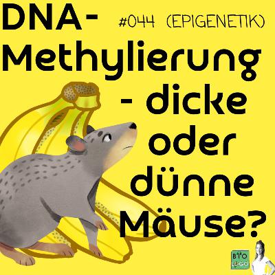 #044 - Dicke Mäuse & Bananen - Welchen Einfluss hat DNA-Methylierung auf die Genexpression?