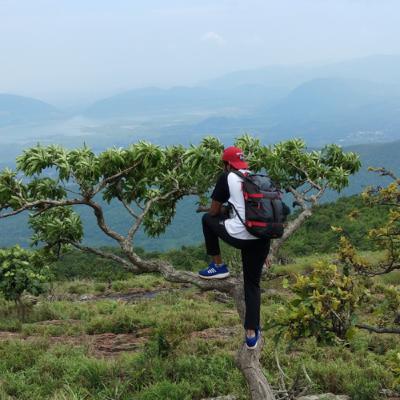 E3| wild adventures | last episode |