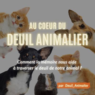 Épisode #9: Comment la mémoire nous aide à traverser le deuil de notre animal ?