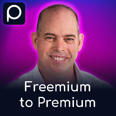 Freemium to Premium: Amir Helzer Reveals Key Lessons from WPML's Business Model Transformation Freemium to Premium: Amir Helzer Reveals Key Lessons from WPML's Business Model Transformation