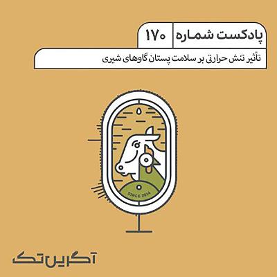 پادکست شماره 170: تأثیر تنش حرارتی بر سلامت پستان گاوهای شیری