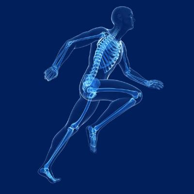 Artroplastia de cadera : Material y diámetro de la cabeza femoral