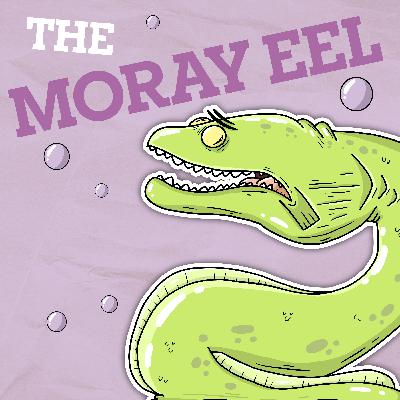 Why Are Moray Eels' Faces So Long? Why Are Moray Eels' Faces So Long?