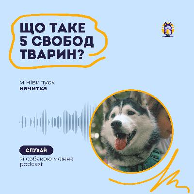 Концепція 5 свобод: Що це?