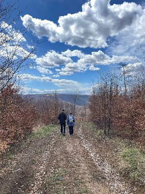 Introducing Talking with the wounded