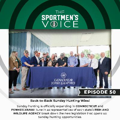 Episode 50 - Back-to-Back Sunday Hunting Wins!