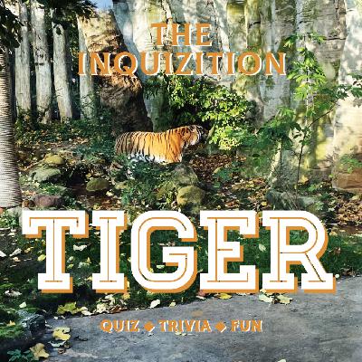 The Inquizition s04e17 TIGER