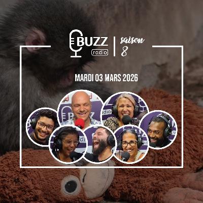 Mardi 03/03/2026 - Le bébé singe Punch et son petit doudou