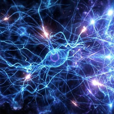 「カオスの縁」から見えてくる知能の正体──フラクタルな複雑性が育む新しい知性の理論