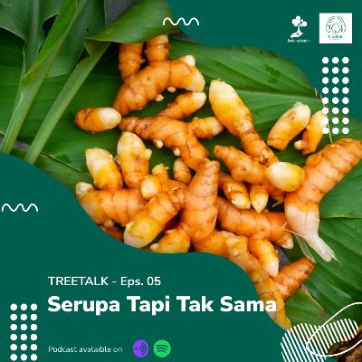 EPS.05 - Serupa Tapi Tak Sama