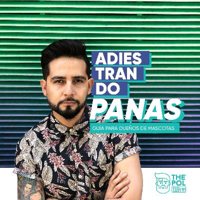 El HIPERAPEGO una causa de la ANSIEDAD POR SEPARACIÓN